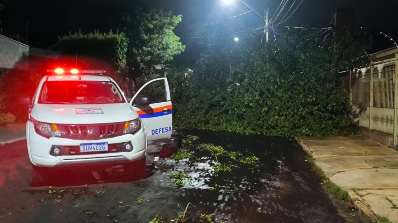 Foto 44 de 67 — TEMPORAL EM FOTOS: veja imagens de destruição em Araraquara